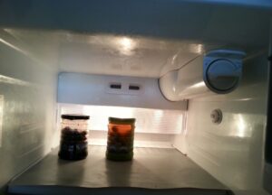 fridge_image_1